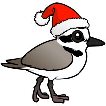 Snowy Plover Santa Claus