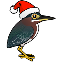 Green Heron Santa