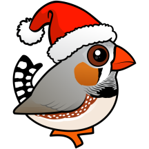 Zebra Finch Santa