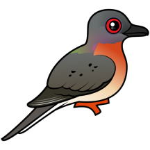 Birdorable Passenger Pigeon