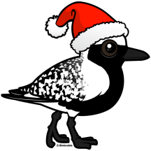 Santa Black-bellied Plover