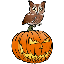 Halloween Eastern Screech Owl
