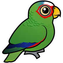Birdorable White-fronted Parrot