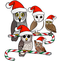 Santa Owls