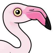 Flamingos