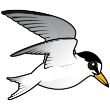 Flying Little Tern