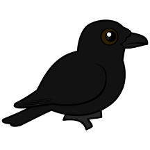 American Crow