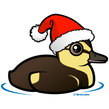 Santa Duckling