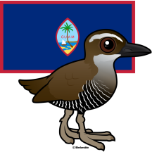 Guam Rail with Flag