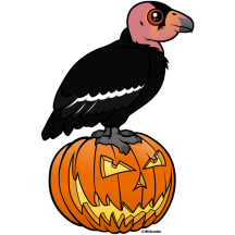 California Condor Halloween