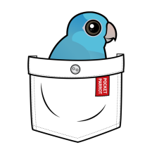 Blue Pocket Parrot