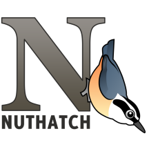 N is for Nuthach