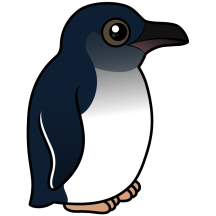 Little Penguin
