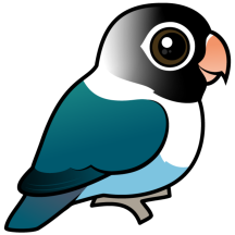 Blue Masked Lovebird