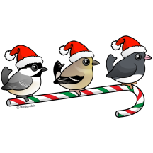 Three Christmas Songbirds (US)