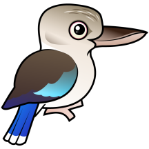 Blue-winged Kookaburra