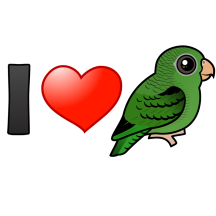 I Love Barred Parakeets