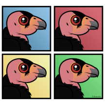 Four Color California Condor