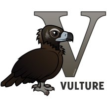 V is for Vulture