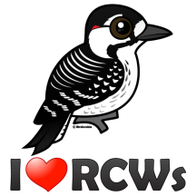 I Love Red-cockaded Woodpeckers