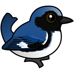 Black-throated Blue Warbler (male)