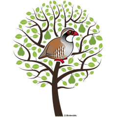 A Partridge in a Pear Tree