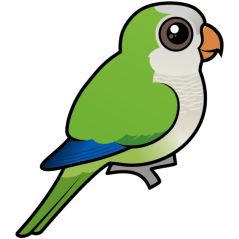 Birdorable Monk Parakeet
