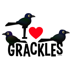 I Love Grackles