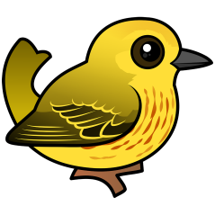 Yellow Warbler