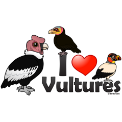 I Love Vultures (South America)
