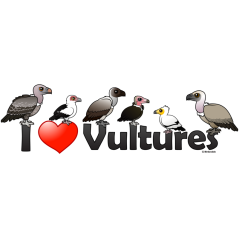 I Love Vultures (Africa)