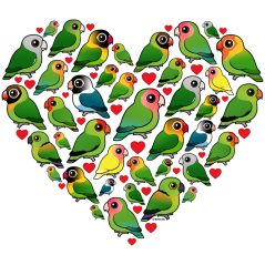 Heart of Lovebirds