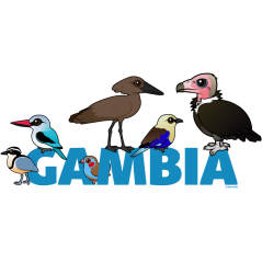 The Birdorable Gambia