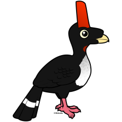 Horned Guan