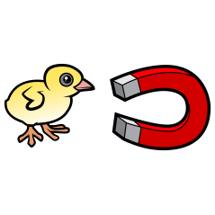 Chick Magnet