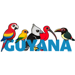 Birdorable Guyana