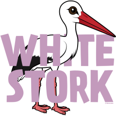 Jumbo White Stork