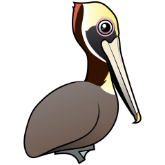 Birdorable Brown Pelican