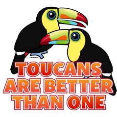 Toucans Are Better Than One