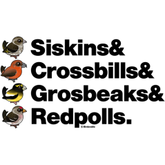 Siskins & Crossbills & Grosbeaks & Redpolls
