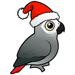 African Grey Santa