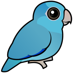 Blue Pacific Parrotlet
