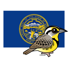 State Birdorable of Nebraska: Western Meadowlark