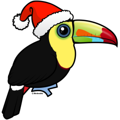 Toucan Christmas