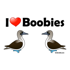I Love Blue-footed Boobies