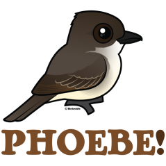 PHOEBE!