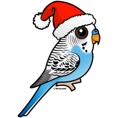 Santa Blue Budgie