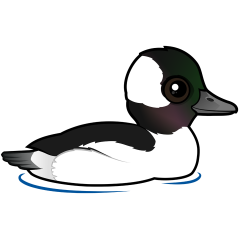 Birdorable Bufflehead
