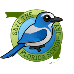 Save the Florida Scrub-Jay