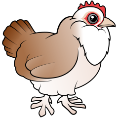 Faverolles Hen